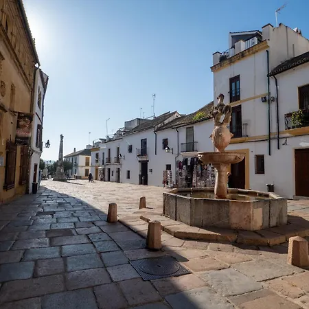 Casa Sojo