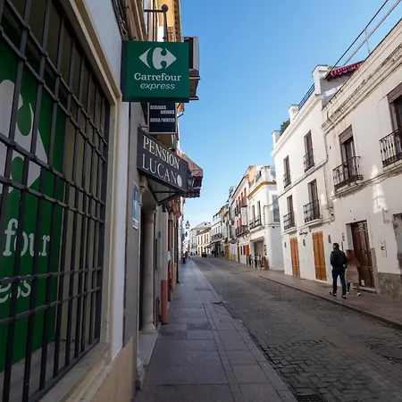 Casa Sojo